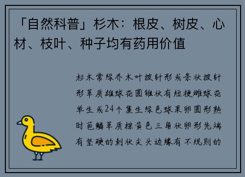 「自然科普」杉木：根皮、树皮、心材、枝叶、种子均有药用价值
