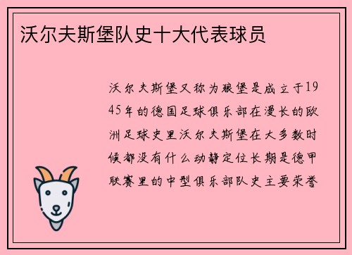 沃尔夫斯堡队史十大代表球员