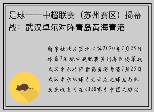 足球——中超联赛（苏州赛区）揭幕战：武汉卓尔对阵青岛黄海青港